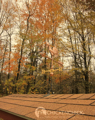 My copper weathervane was a gift from my husband for our seventh wedding anniversary. Did you know seven is the copper anniversary? True story. My copper weathervane was a gift from my husband for our seventh wedding anniversary. Did you know seven is the copper anniversary? True story.