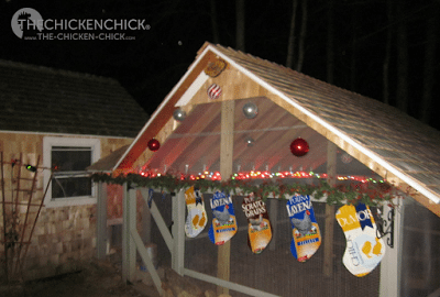 No coop is complete without feed bag stockings for Christmas! No coop is complete without feed bag stockings for Christmas!