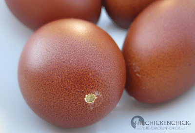 Nice, uniform hole that won't crack the egg. Nice, uniform hole that won't crack the egg.