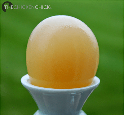 These soft-shelled eggs feel like water balloons. These soft-shelled eggs feel like water balloons.