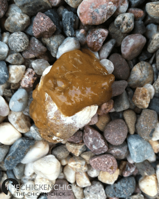 Normal chicken droppings, cecal poop. Normal chicken droppings, cecal poop.