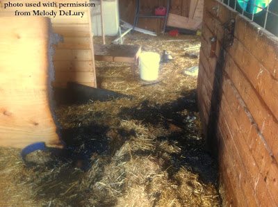 This barn fire was caused by heat lamp. This barn fire was caused by heat lamp.