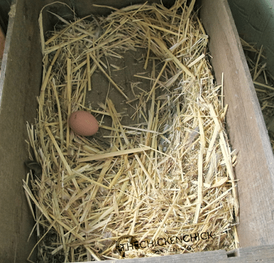 An open, wooden box with some bedding will suffice when it's too hot for hens to lay in the nest boxes. An open, wooden box with some bedding will suffice when it's too hot for hens to lay in the nest boxes.