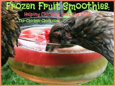Frozen Fruit Smoothies Frozen Fruit Smoothies