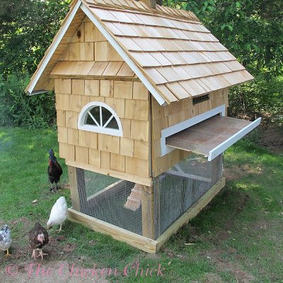 Follow along as we Build our New Quail Coop | The Chicken Chick®