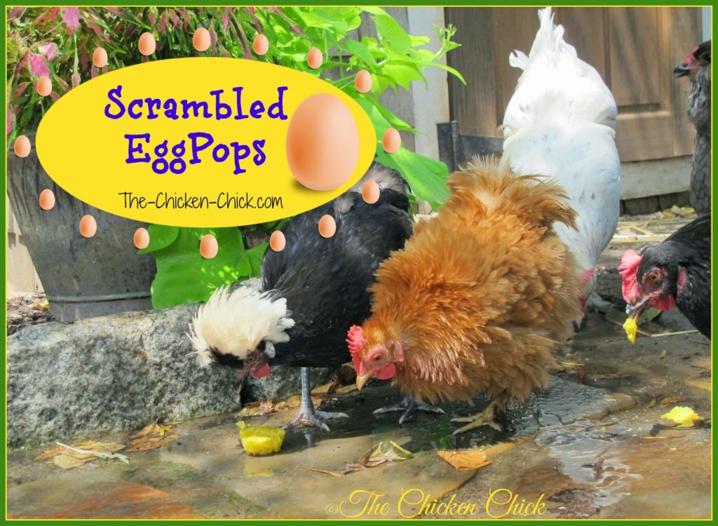 Scrambled Eggpops Scrambled Eggpops