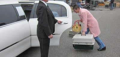 On Valentine's Day, 2012, I drove with my husband to the limo company with Max and (St)Eve. On Valentine's Day, 2012, I drove with my husband to the limo company with Max and (St)Eve.