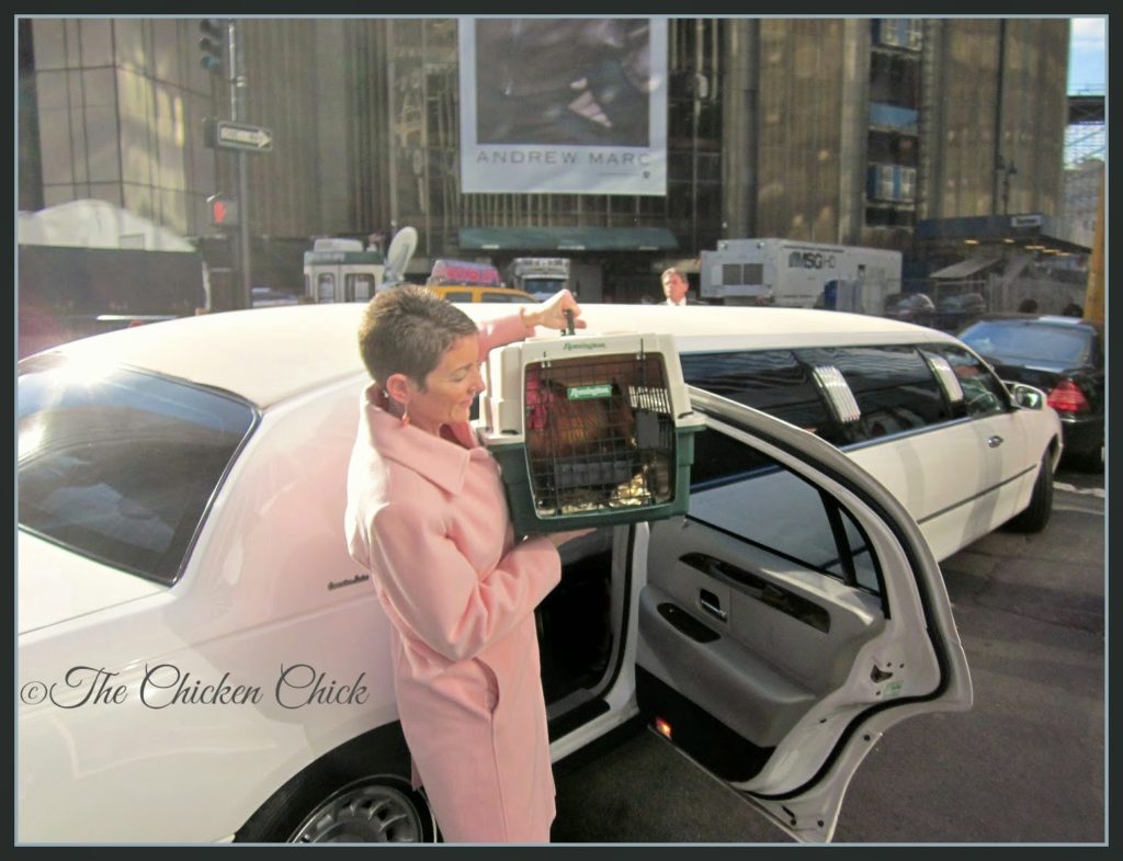 On Valentine's Day, 2012, I drove with my husband to the limo company with Max and (St)Eve. On Valentine's Day, 2012, I drove with my husband to the limo company with Max and (St)Eve.
