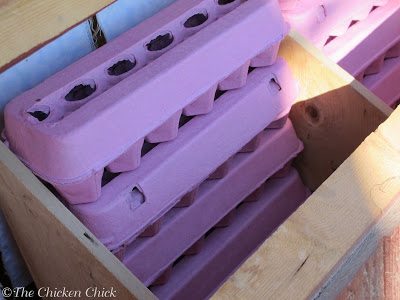 Barricading the nest boxes with egg cartons discourages sleeping in them. Barricading the nest boxes with egg cartons discourages sleeping in them.