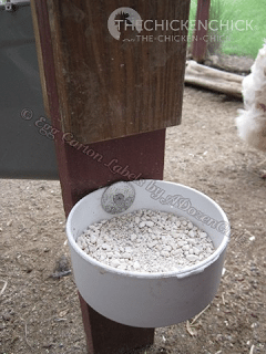 While layer feed contains added calcium, an additional source of calcium, such as oyster shells or crushed eggshells, should be made available in a separate dish, apart from the feed. While layer feed contains added calcium, an additional source of calcium, such as oyster shells or crushed eggshells, should be made available in a separate dish, apart from the feed.