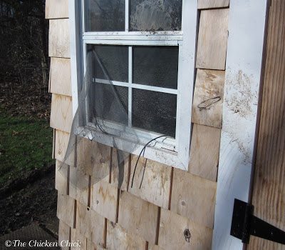 Window screens will not keep predators out. Screws and washers should secure the hardware cloth to the structure, not staples. Window screens will not keep predators out. Screws and washers should secure the hardware cloth to the structure, not staples.