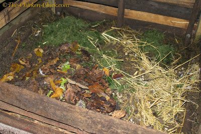 This is my compost pile behind my chicken coops. We layer it with chicken droppings, leaves, grass clippings, kitchen scraps and straw from nest boxes. This is my compost pile behind my chicken coops. We layer it with chicken droppings, leaves, grass clippings, kitchen scraps and straw from nest boxes.