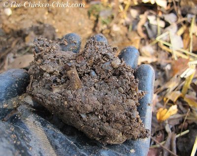 When squeezed and released, this litter did not break up, signalling too much moisture. More pine shavings or leaves need to be added. When squeezed and released, this litter did not break up, signalling too much moisture. More pine shavings or leaves need to be added.