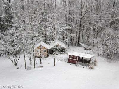 Protect them as much as you can from the elements. Protect them as much as you can from the elements.