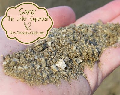 Sand: The Litter Superstar Sand: The Litter Superstar
