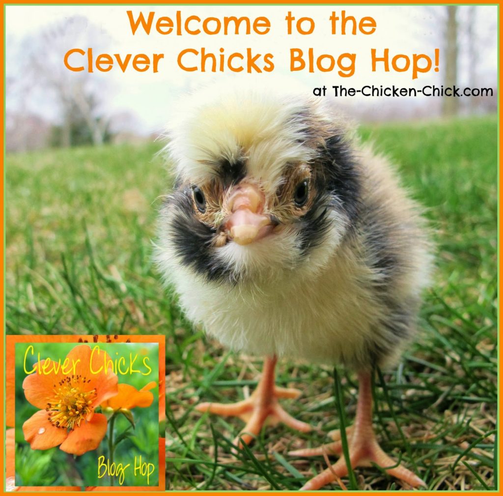 The Clever Chicks Blog Hop at The-Chicken-Chick.com The Clever Chicks Blog Hop at The-Chicken-Chick.com