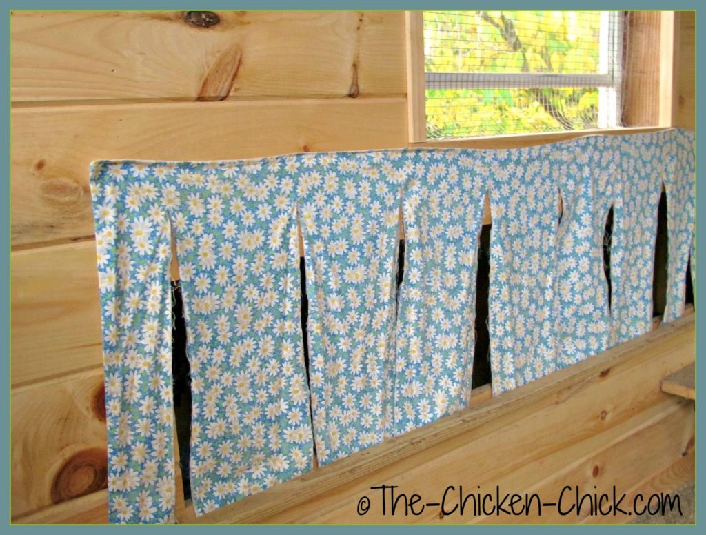 Raise nest boxes. If nest boxes are at floor level they can be raised and wall-mounted to free up valuable floor space. If nest boxes are fully contained within the coop they can be re-designed to extend out from an exterior coop wall with an egg access door. Raise nest boxes. If nest boxes are at floor level they can be raised and wall-mounted to free up valuable floor space. If nest boxes are fully contained within the coop they can be re-designed to extend out from an exterior coop wall with an egg access door.