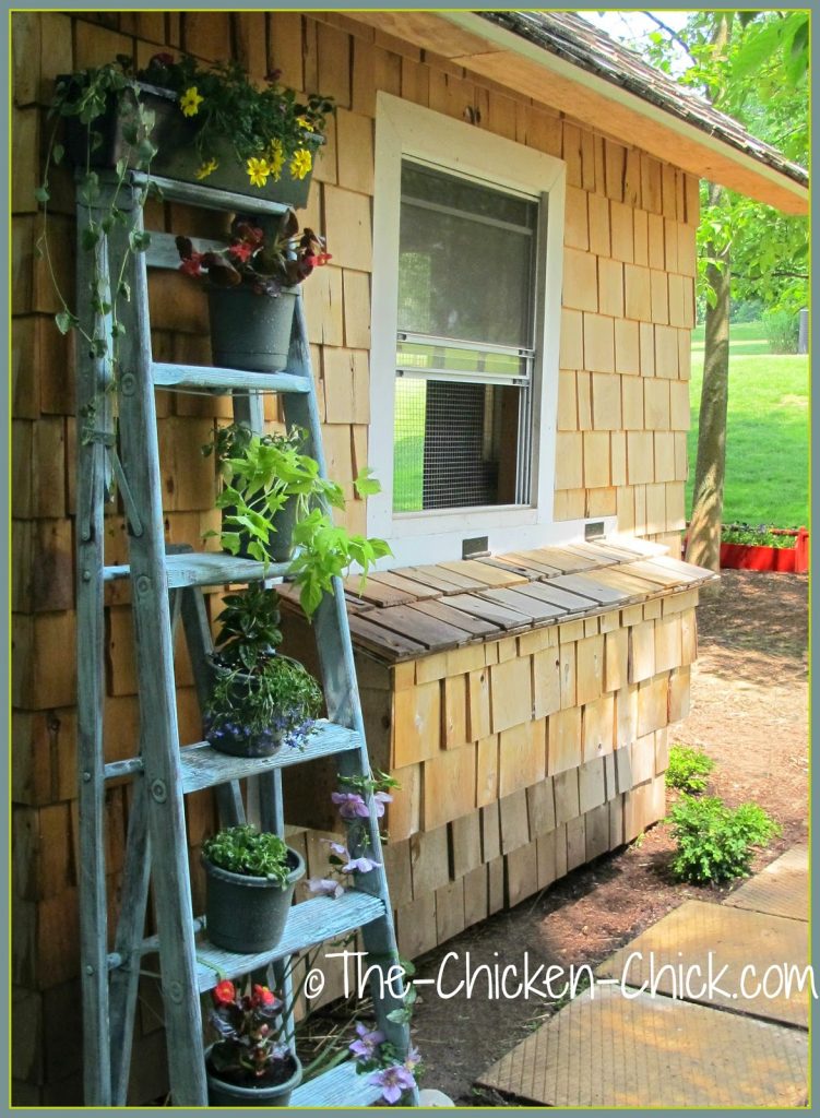 Raise nest boxes. If nest boxes are at floor level they can be raised and wall-mounted to free up valuable floor space. If nest boxes are fully contained within the coop they can be re-designed to extend out from an exterior coop wall with an egg access door. Raise nest boxes. If nest boxes are at floor level they can be raised and wall-mounted to free up valuable floor space. If nest boxes are fully contained within the coop they can be re-designed to extend out from an exterior coop wall with an egg access door.