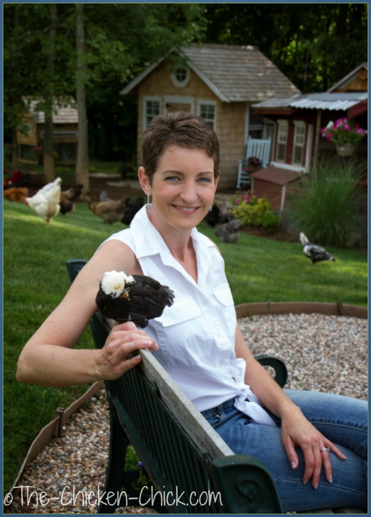 Say WHAT? A Video Guide to Understanding Chicken Chat Kathy Shea Mormino, The Chicken Chick®
