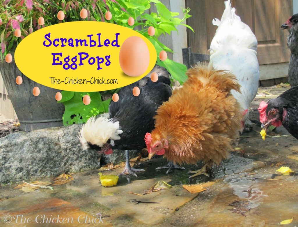 Frozen Scrambled Eggpops Frozen Scrambled Eggpops