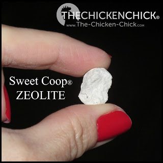 The Chicken Chick's Sweet Coop® Zeolite, Because a wet coop stinks!™ The Chicken Chick's Sweet Coop® Zeolite, Because a wet coop stinks!™