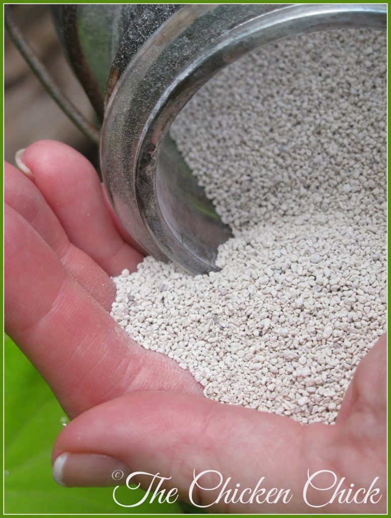 The Chicken Chick's Sweet Coop® zeolite is safe to handle with bare hands. Safe to breathe and use without a respirator, unlike diatomaceous earth (DE). I do not recommend using DE around chickens. The Chicken Chick's Sweet Coop® zeolite is safe to handle with bare hands. Safe to breathe and use without a respirator, unlike diatomaceous earth (DE). I do not recommend using DE around chickens.
