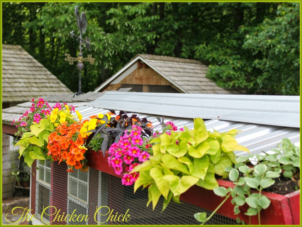 Roof top planter Roof top planter