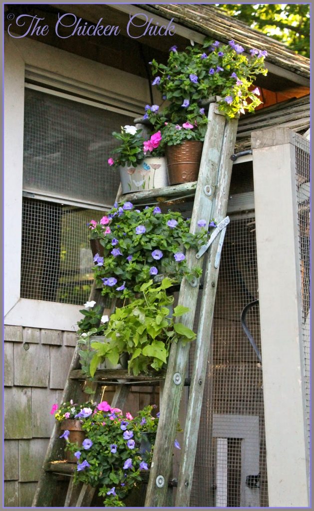 Upcycled Ladder Planter Upcycled Ladder Planter