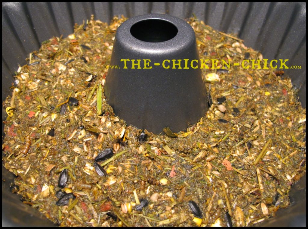 During a molt, chickens lose their feathers and grow new ones, which places great demands on their energy and nutrient stores. Since feathers consist of 85% protein, supplementing chickens’ diet with additional protein can help them get through the process. This protein-packed alfalfa cake recipe is a fantastic way to provide molting chickens with a variety of protein sources in one treat while keeping them entertained and active. During a molt, chickens lose their feathers and grow new ones, which places great demands on their energy and nutrient stores. Since feathers consist of 85% protein, supplementing chickens’ diet with additional protein can help them get through the process. This protein-packed alfalfa cake recipe is a fantastic way to provide molting chickens with a variety of protein sources in one treat while keeping them entertained and active.