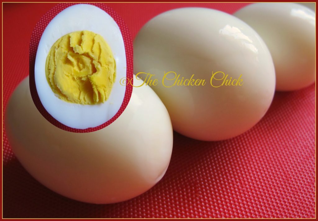 fascinating facts about eggs with an egg-laying video!