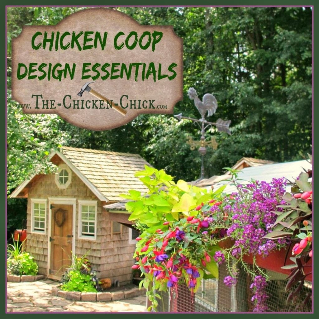 Chicken Coop Design Essentials, Details and Luxuries Guide