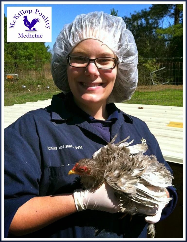 Poultry Veterinarian, Dr. Annika McKillop, properly attired to treat her patients at home. Poultry Veterinarian, Dr. Annika McKillop, properly attired to treat her patients at home.