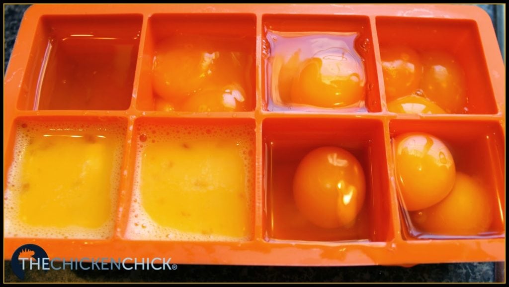 Do It Yourself How to Freeze Fresh Eggs The Chicken Chick