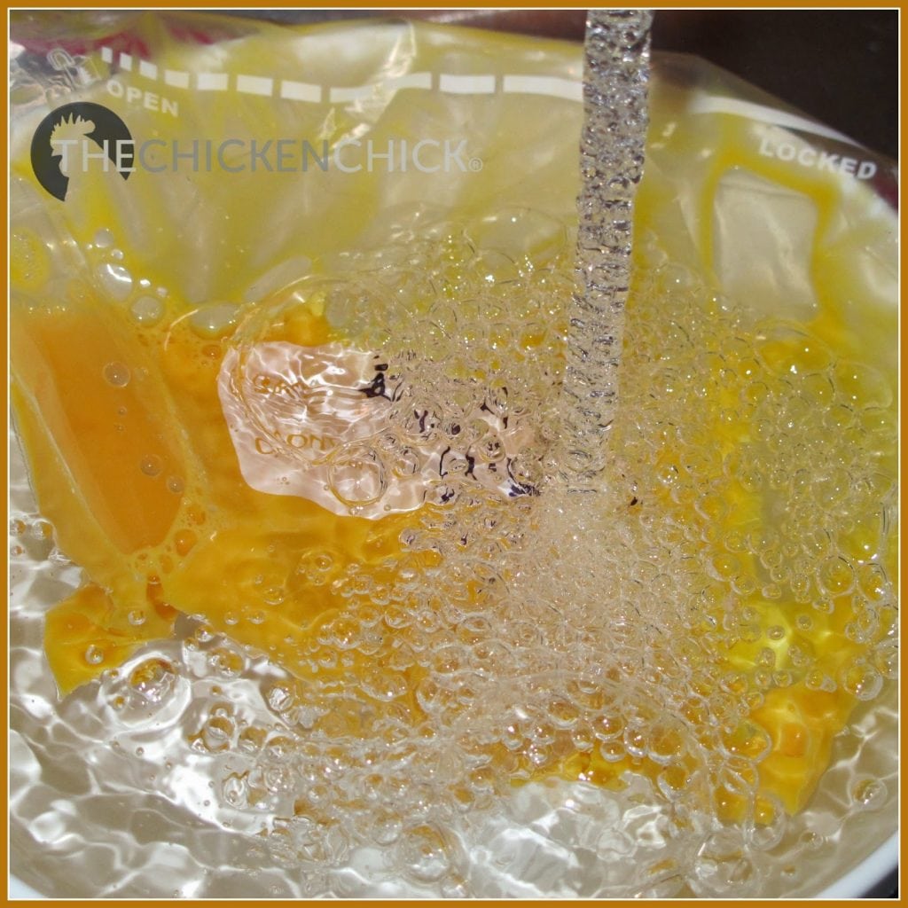 Do It Yourself How to Freeze Fresh Eggs The Chicken Chick