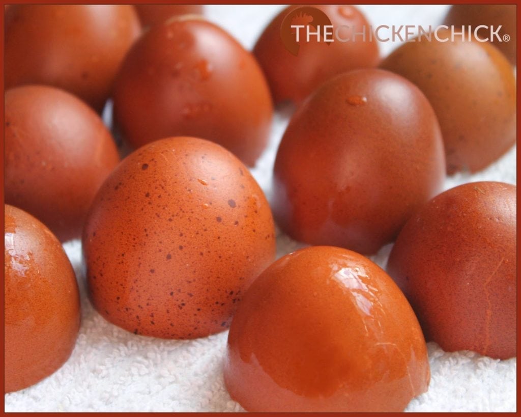 Eggshell Candles The Chicken Chick®