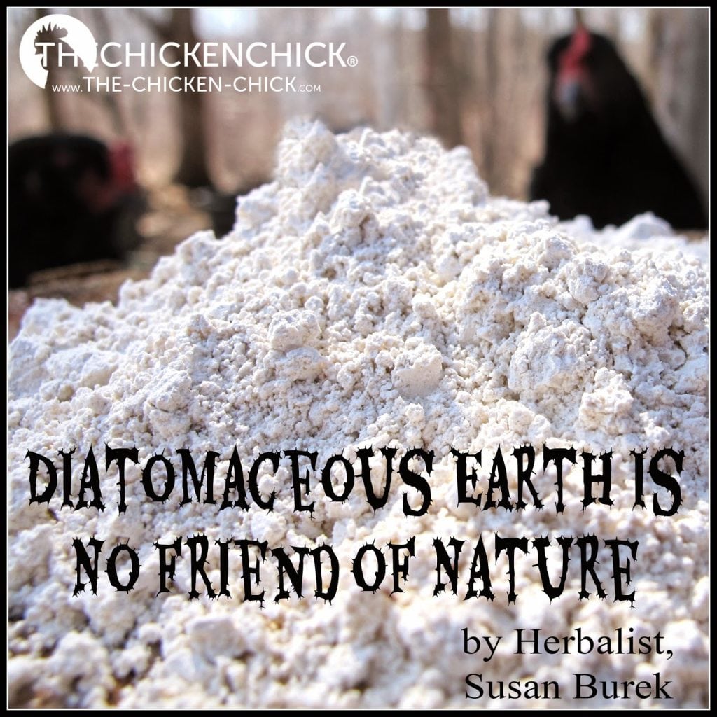 Diatomaceous Earth with Guest Susan Burek The Chicken Chick
