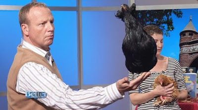 Scot Haney, WFSB Channel 3, Better Connecticut with Petey, an Araucana pullet Scot Haney, WFSB Channel 3, Better Connecticut with Petey, an Araucana pullet
