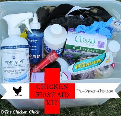 Keep a well-stocked first aid kit handy to treat common problems. Keep a well-stocked first aid kit handy to treat common problems.