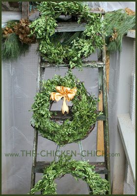 Barbed wire and grapevine boxwood wreaths. Barbed wire and grapevine boxwood wreaths.