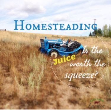 Homesteading: Is the Juice Worth the Squeeze, shared by Livin Lovin Farmin at The Chicken Chick's Clever Chicks Blog Hop Homesteading: Is the Juice Worth the Squeeze, shared by Livin Lovin Farmin at The Chicken Chick's Clever Chicks Blog Hop