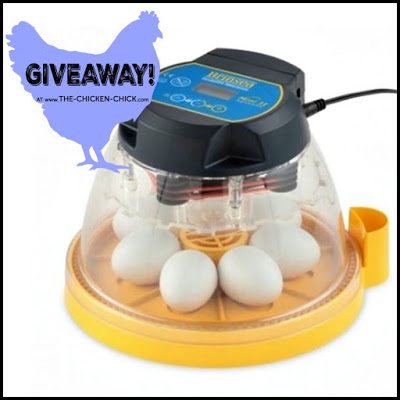 Brinsea Mini II Advance fully digital 7 egg incubator